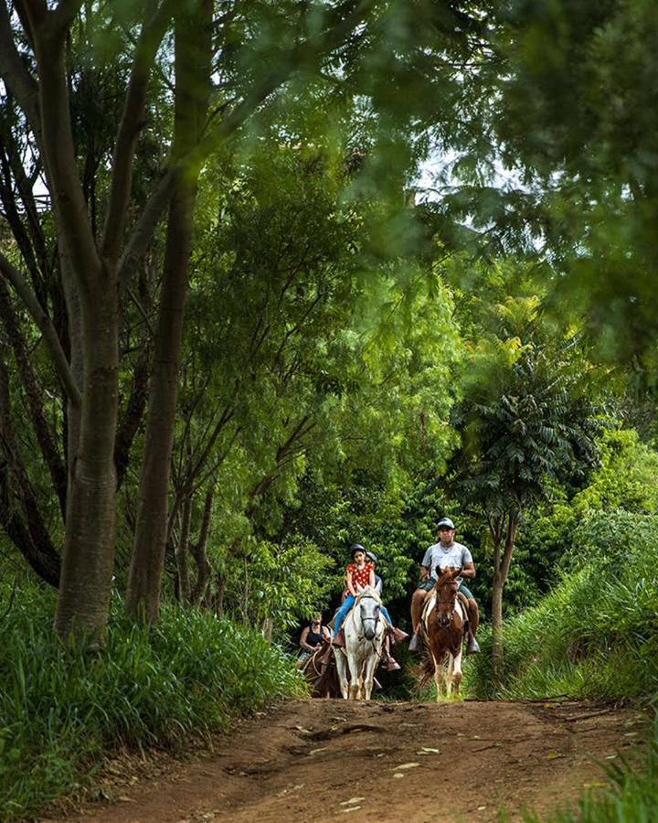 Hotel Fazenda Parque Dos Sonhos 소코로 외부 사진